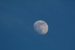 月の画像